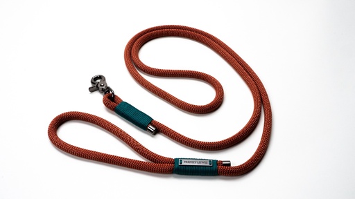 [FL25711] Frenky Lewis Dog Leash Abby Green 1 st.