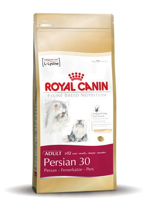 [RC305004] Persian 30