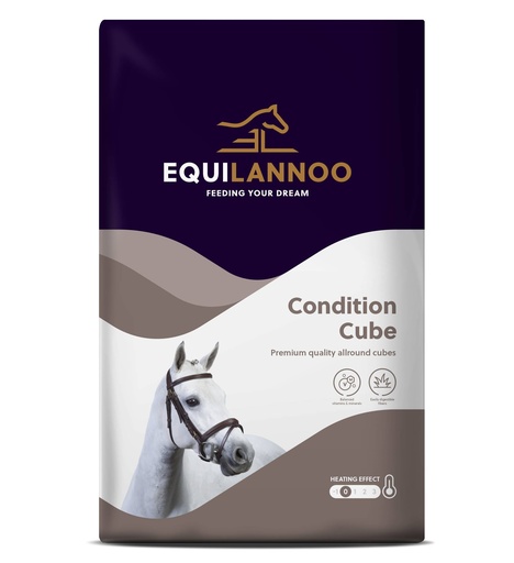 [EQL491024] Equilannoo Condition Cube 20 kg.