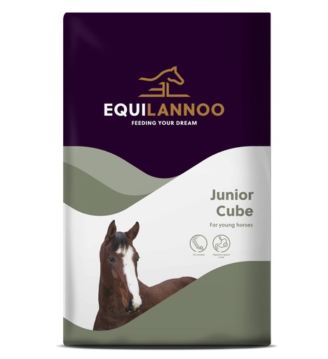 [EQL491037] Equilannoo Junior Cube 20 kg.