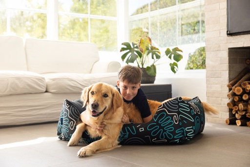 Rogz Graphix Walled Bed