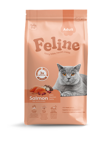 HobbyFirst Feline Adult Salmon