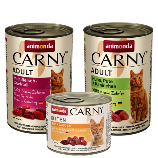 [SETCP] Set Carny Plank