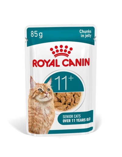 [RC399161] Royal Canin FHN Ageing 11+ In Jelly