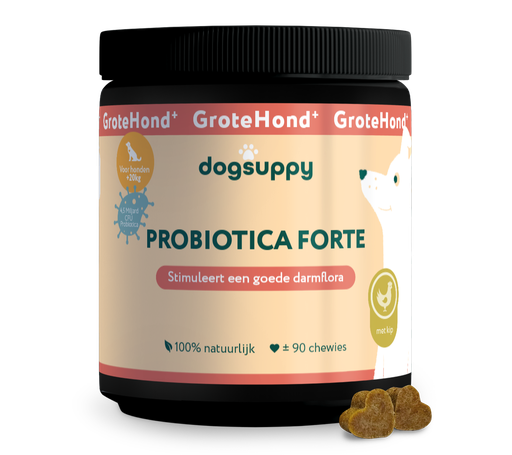 [DS20324] DogSuppy Probiotica Grote Hond Kip