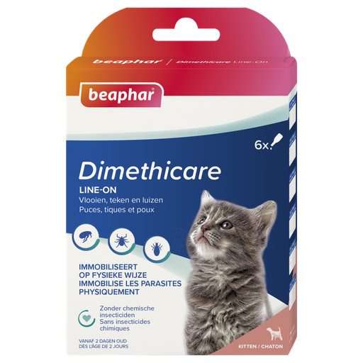 [BP1000802] Dimethicare Line-On Kitten