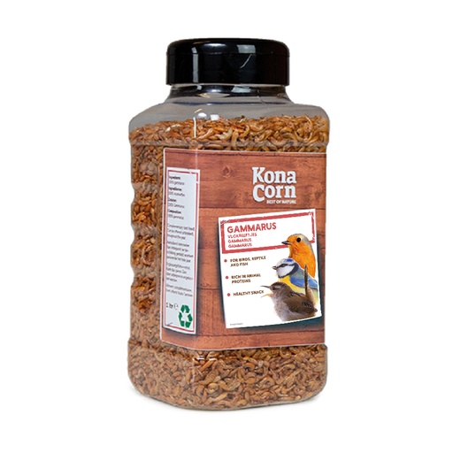 [KC02361] Konacorn Gammarus
